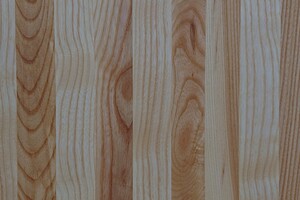 Spárovka Jasan jádrový průběžná