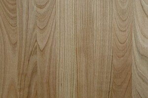 Spárovka Třešeň americká průběžná